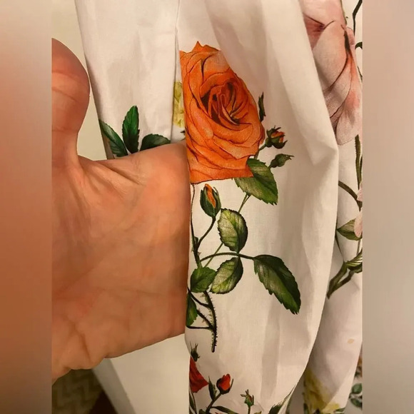 Rachel Antonoff Roses Susannah Mini Dress Size 2X - Picture 10 of 12